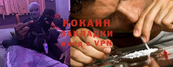 твердый Арсеньев