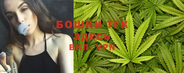 твердый Арсеньев