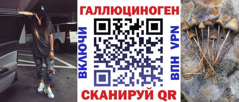 Галлюциногенные грибы Psilocybe  Отрадный 