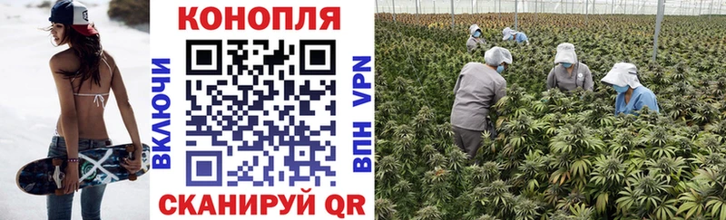 как найти закладки  Отрадный  Марихуана Ganja 